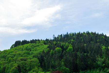 Hotel Prinzen Kappelrodeck Εξωτερικό φωτογραφία